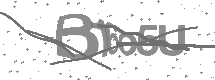 visual captcha